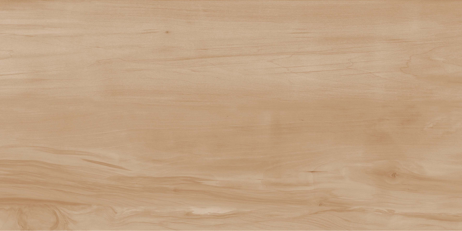  Paint Wood Bone Matt 60x120 (1,44)