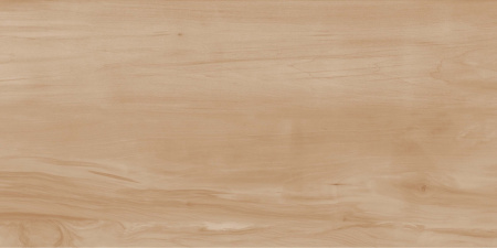  Paint Wood Bone Matt 60x120 (1,44) 