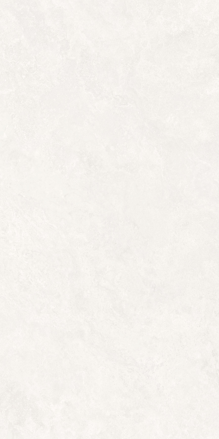  Анголенс белый двойная цифровая печать 60x120 (1,44)