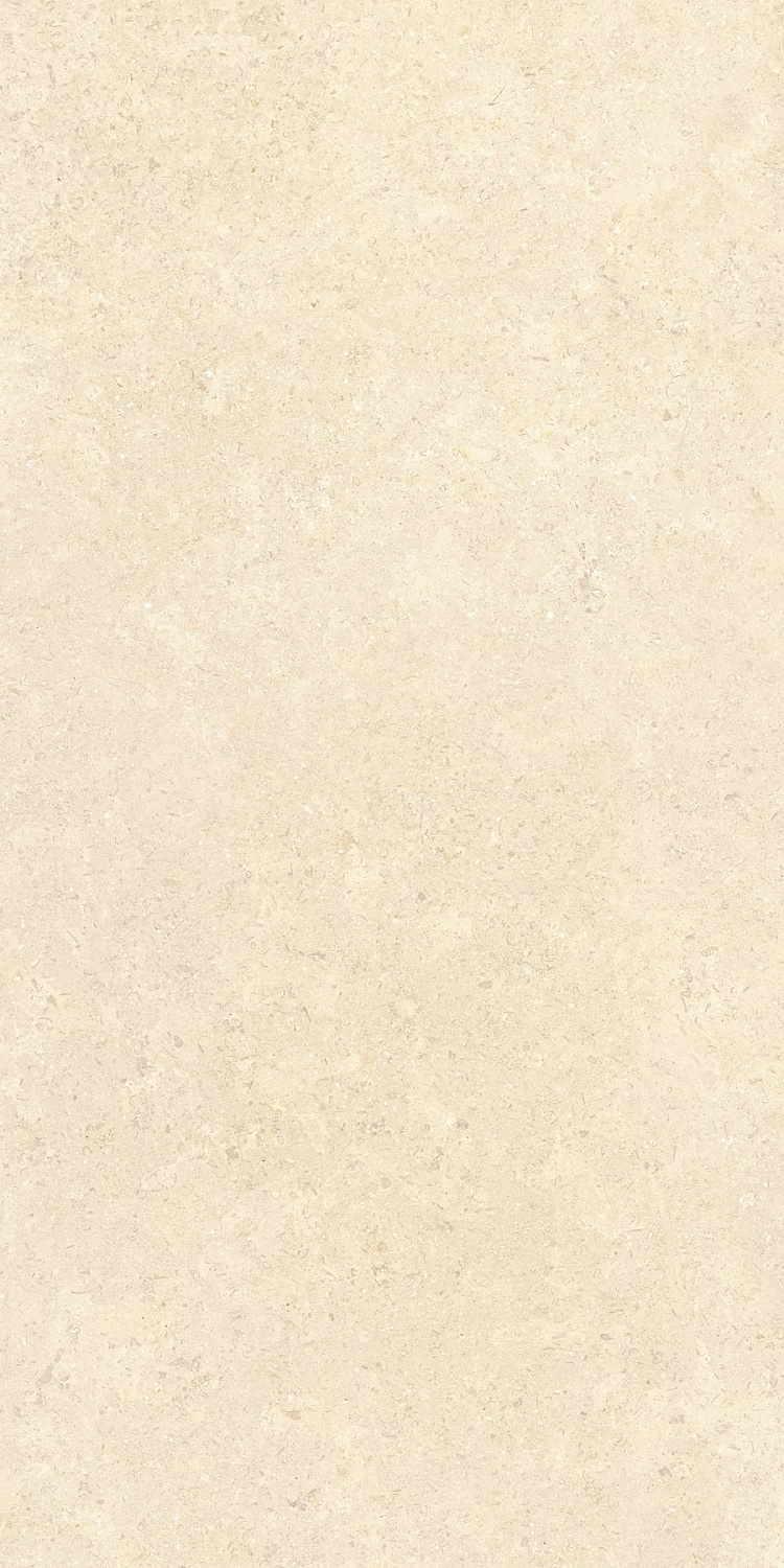   SandStone Песочный МатR10A 60x120 (1,44)