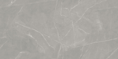  Vintage Armani Grey Porce 60x120 