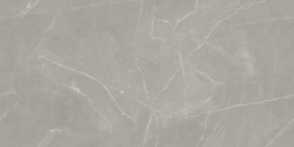  Vintage Armani Grey Porce 60x120 