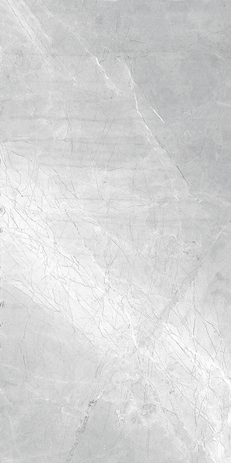  Asti Grey carving 60x120