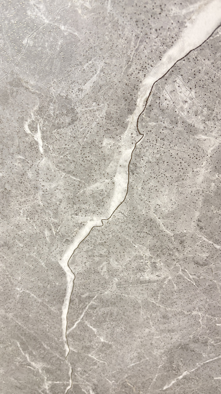  Luanda Polished Silver Carving 60x120 (1,44)