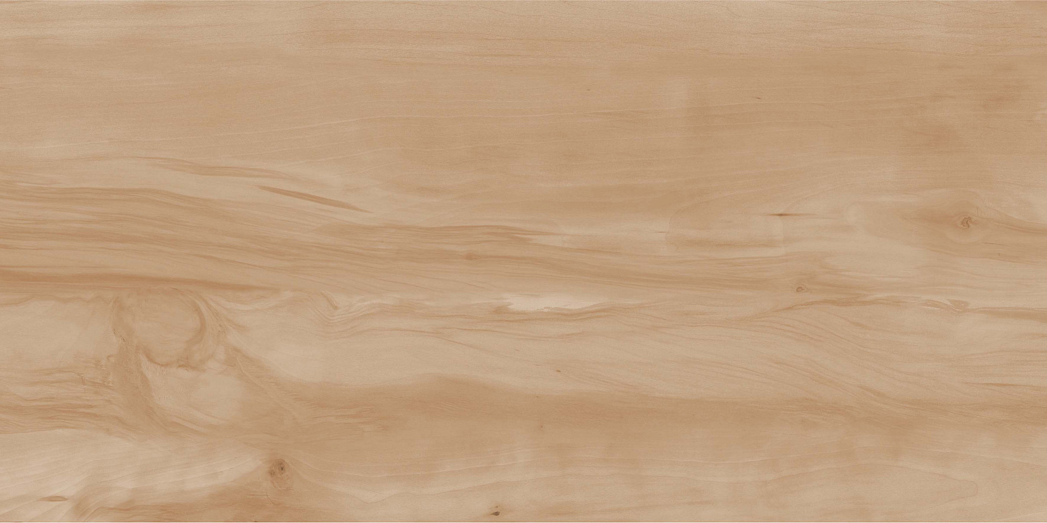  Paint Wood Bone Matt 60x120 (1,44)