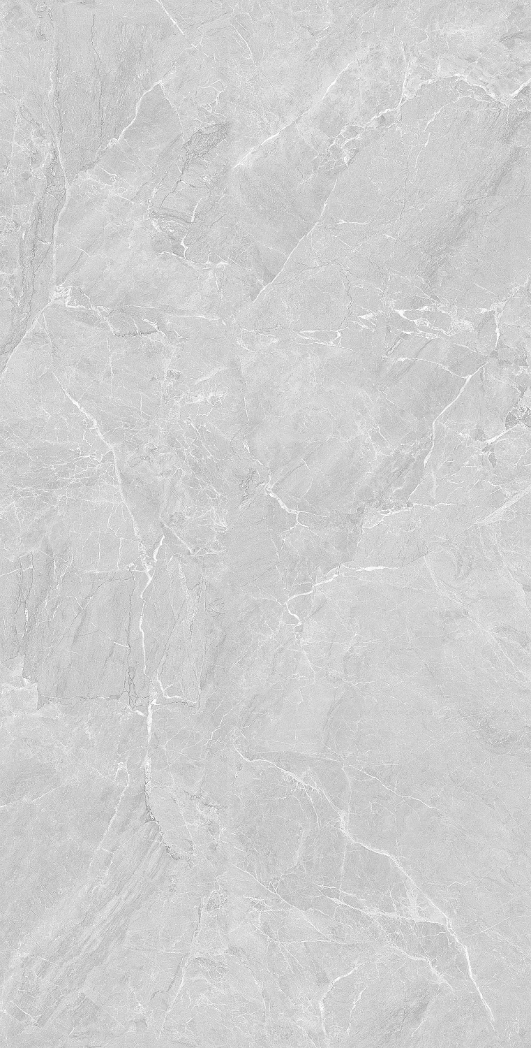  Lithos Light Grey Sugar Polished 60x120 (1,44)