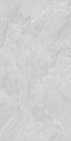  Lithos Light Grey Sugar Polished 60x120 (1,44) 