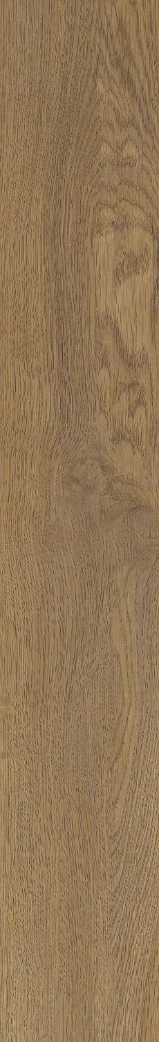   SGR51 Velaris Honey 9,2x60 (0,6)