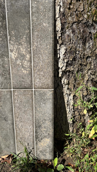   Dream Grey 30x60 (1,08) 