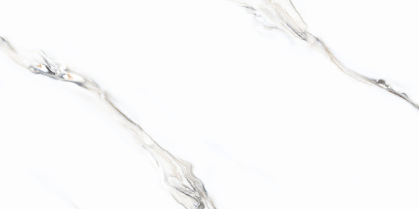  Indio Statuario 60x120 