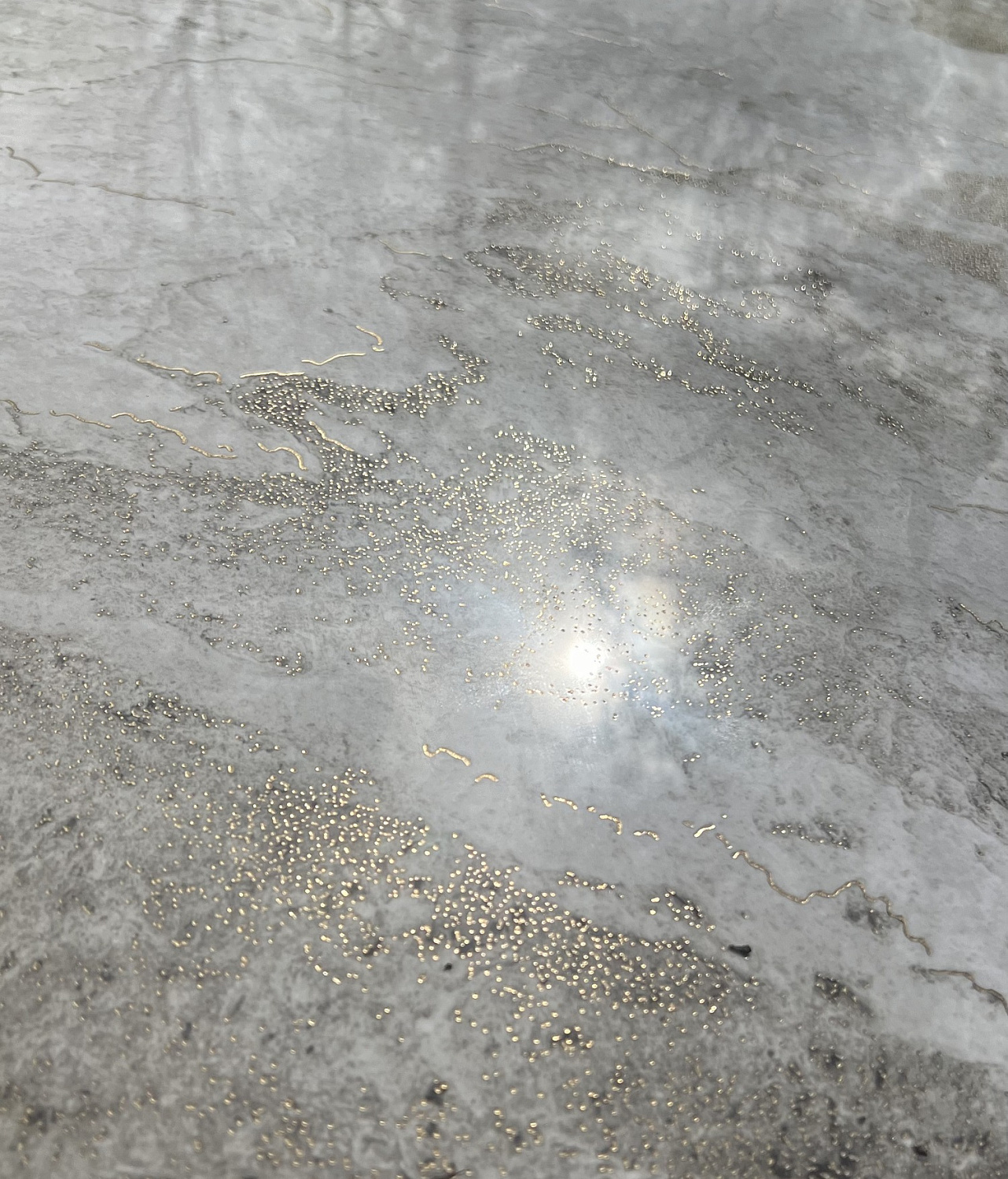  Апия полированный золотой карвинг 60x120 (1,44)