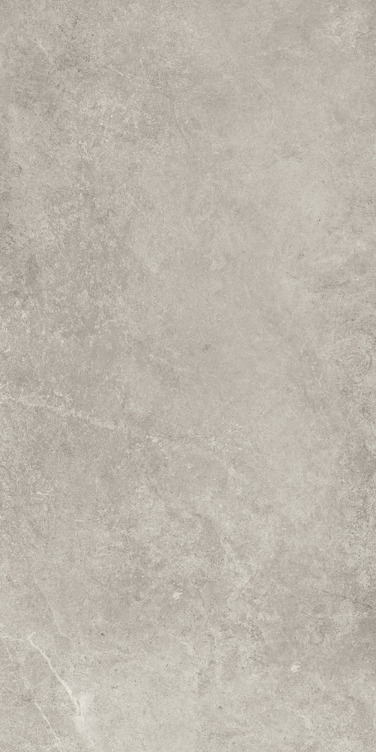  Tacoma Silver 119,7x59,7