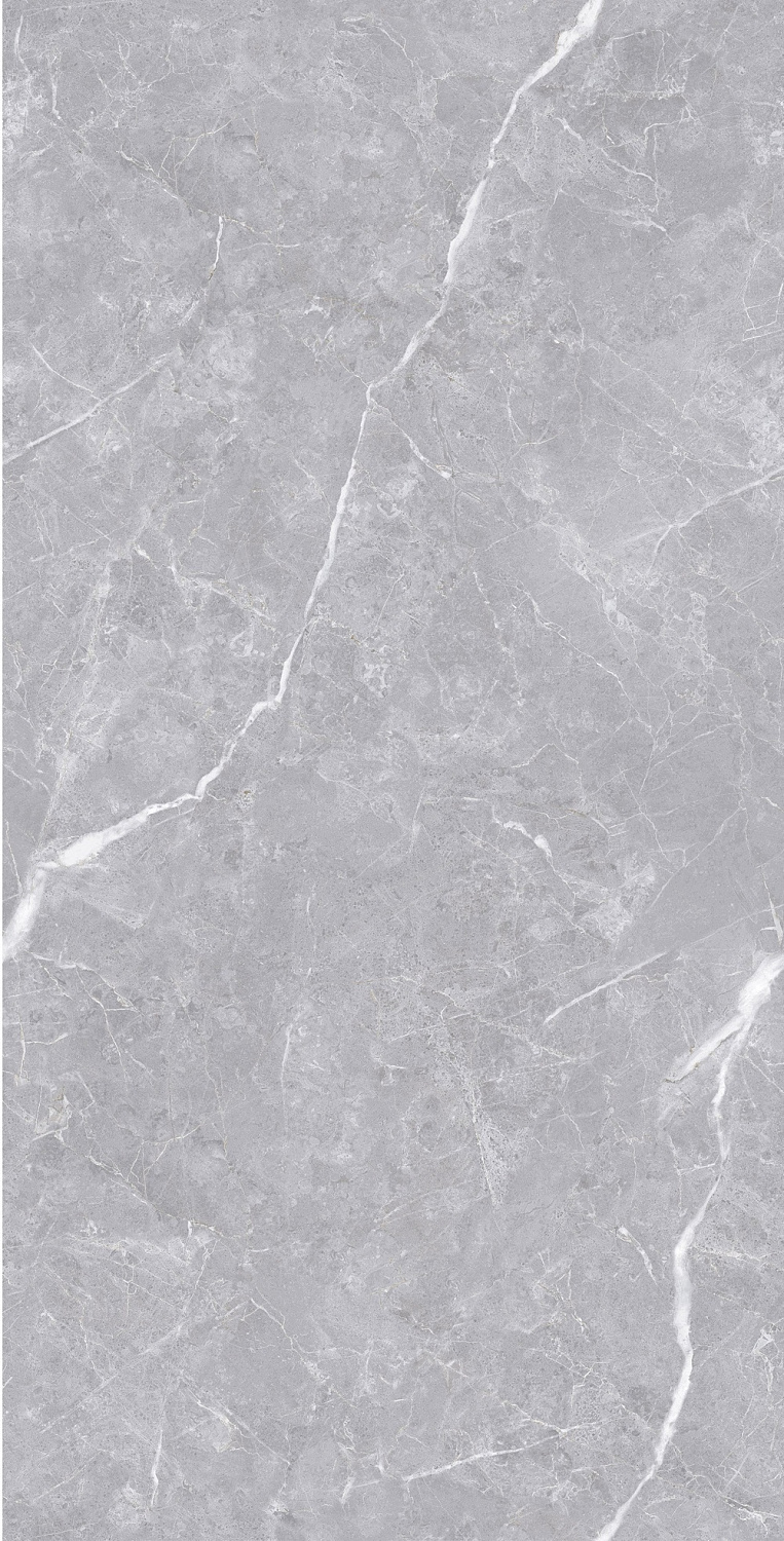  Luanda Polished Silver Carving 60x120 (1,44)