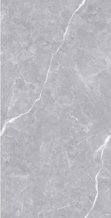  Luanda Polished Silver Carving 60x120 (1,44) 