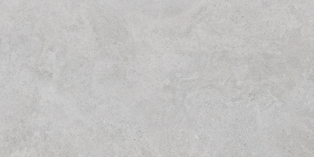   StoneS Боргония Клауд Серый 60x120 (1,44) 