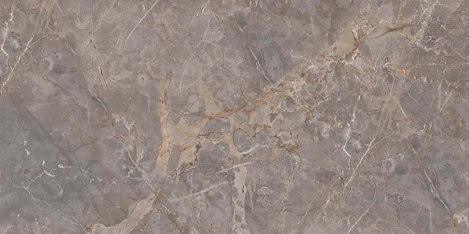  Miltonia Grey 60x120