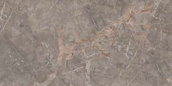  Miltonia Grey 60x120 