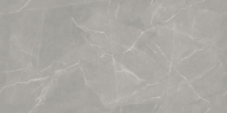  Vintage Armani Grey Porce 60x120 