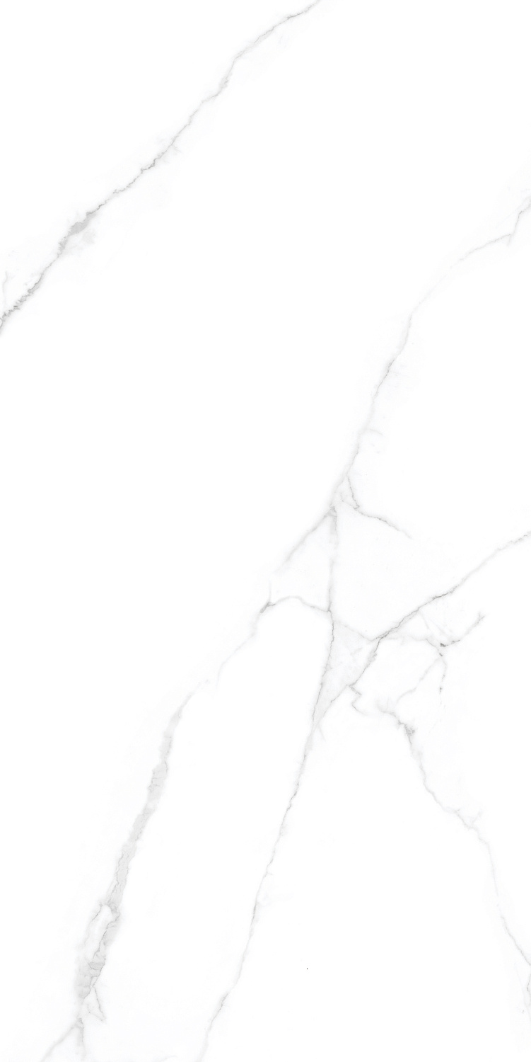 Керамогранит CRV-3141 carving 60х120