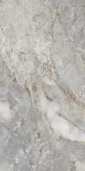  Onista Grey Polished 60x120 (1,44) 