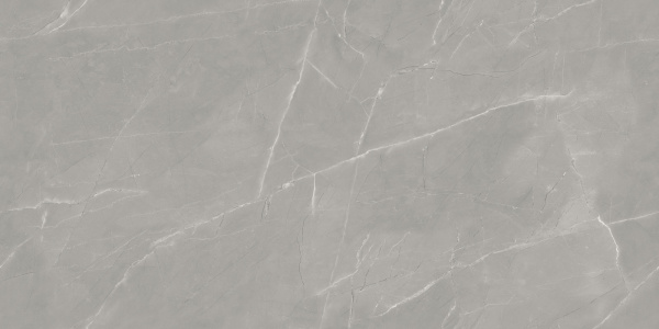  Vintage Armani Grey Porce 60x120 