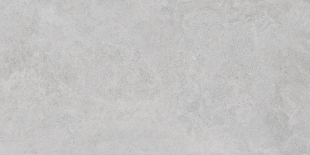   StoneS Боргония Клауд Серый 60x120 (1,44) 