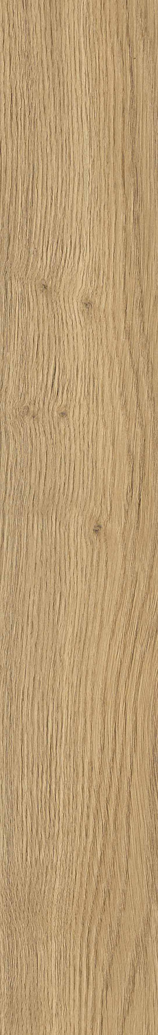   SGR29 Aurevia Gold 9,2x60 (0,6)