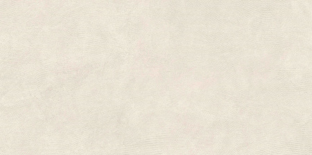   SandBark Слоновая Кость МатR10B 60x120 (1,44) 