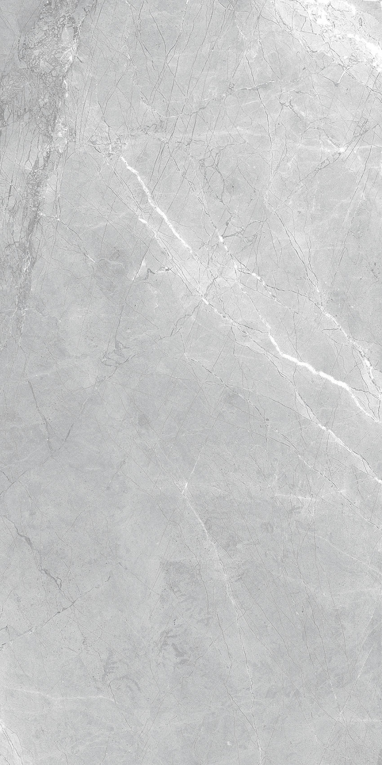  Asti Grey carving 60x120