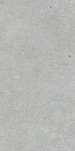   FlakeCement Серый МатR10A 60x120 