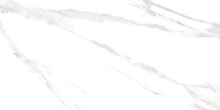  Albeta Statuario 60x120 