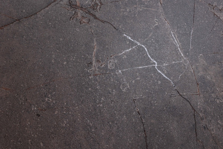  Мия темный сахарный карвинг 60x120 (1,44) 