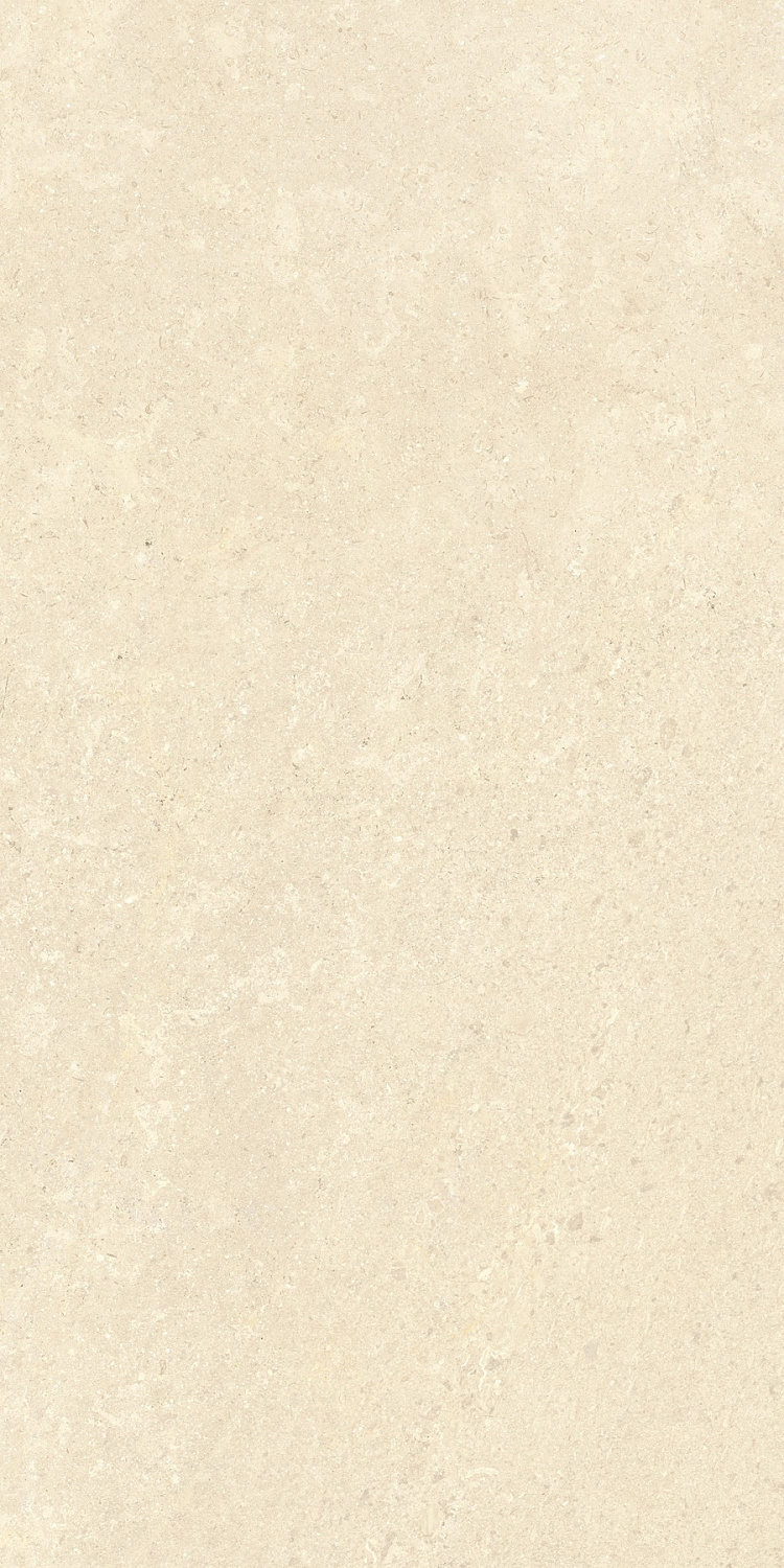   SandStone Песочный МатR10A 60x120 (1,44)