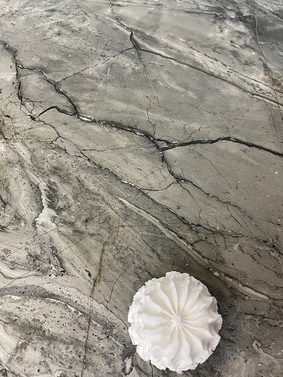  Craft Hazel Gray 60х120