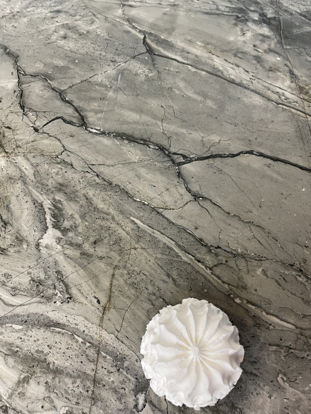  Craft Hazel Gray 60х120 