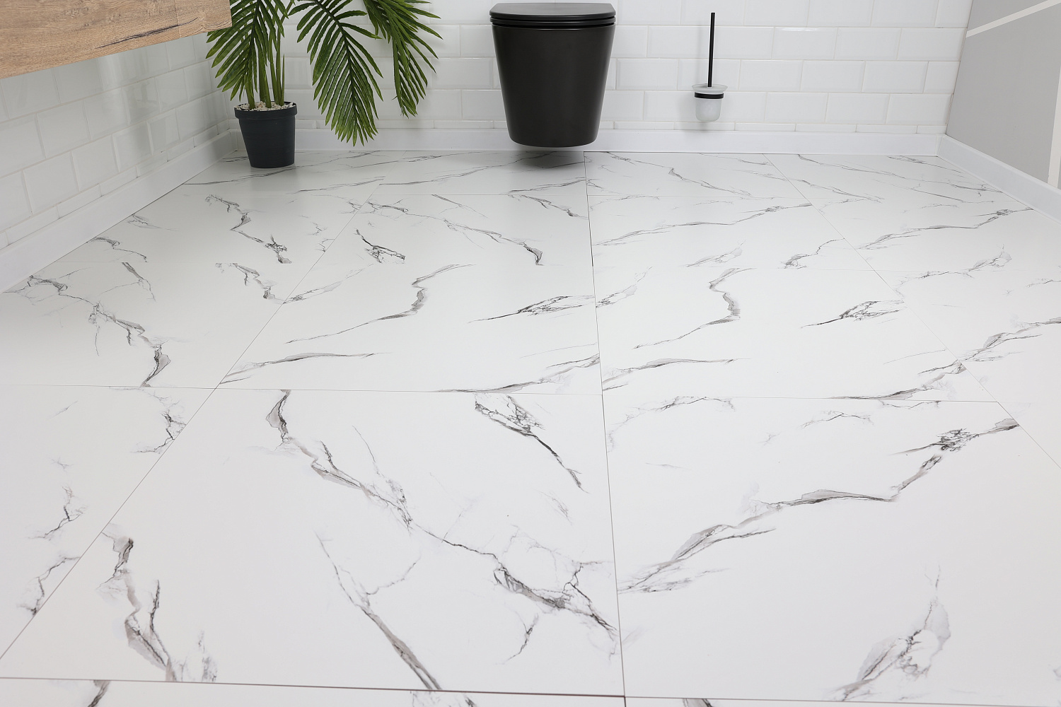  Molly white структура 60x60