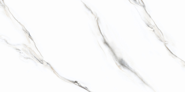  Indio Statuario 60x120 