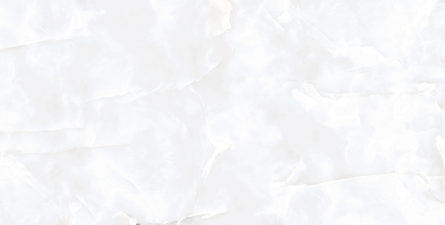  Coin White Glossy 60x120