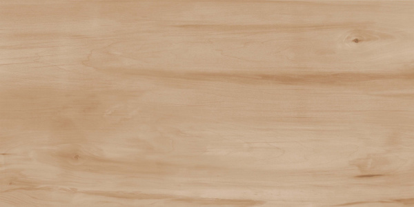  Paint Wood Bone Gloss 60x120 (1,44) 