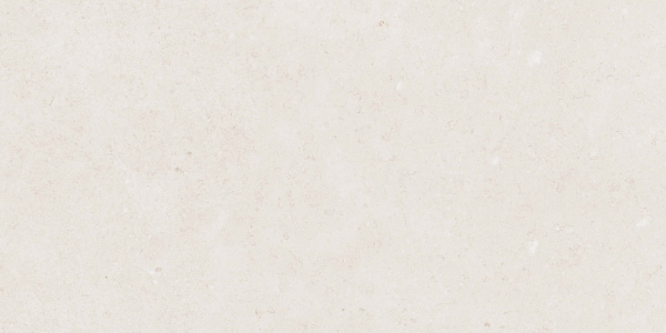  Mistic Light Grey Gloss 60x120 (1,44) 