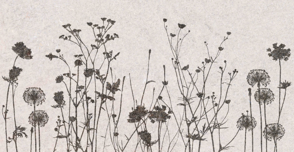 Декор Flamel 31х61 