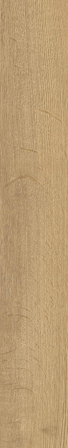   SGR29 Aurevia Gold 9,2x60 (0,6)