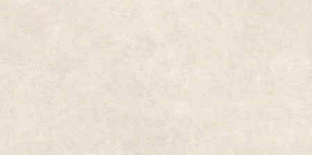   SandBark Слоновая Кость МатR10B 60x120 (1,44) 