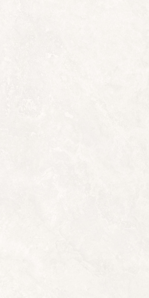  Анголенс белый двойная цифровая печать 60x120 (1,44) 