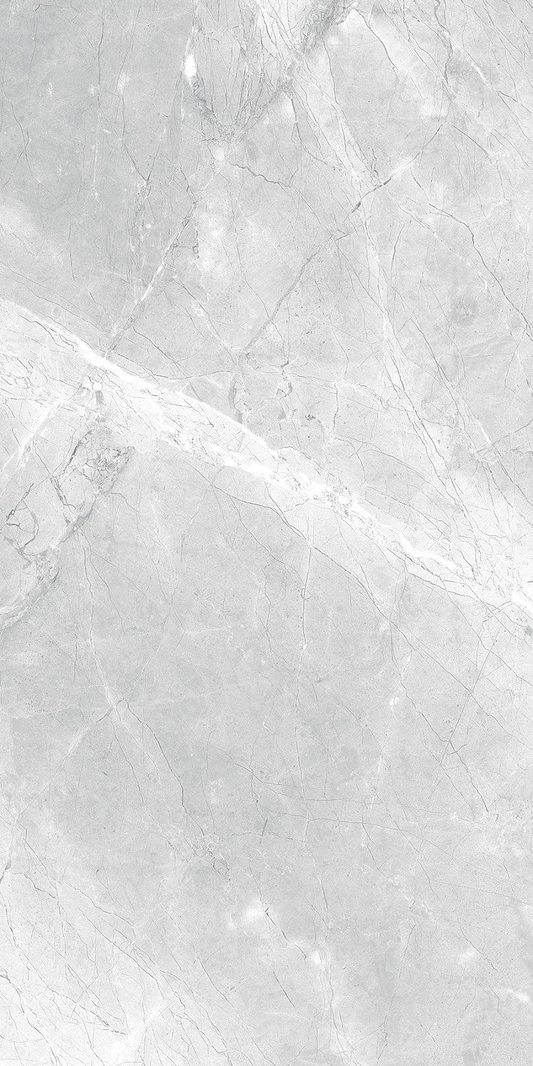  Asti Grey carving 60x120