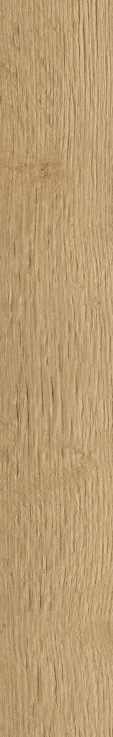   SGR29 Aurevia Gold 9,2x60 (0,6)