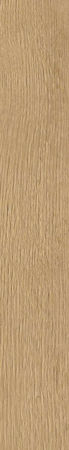   SGR29 Aurevia Gold 9,2x60 (0,6)