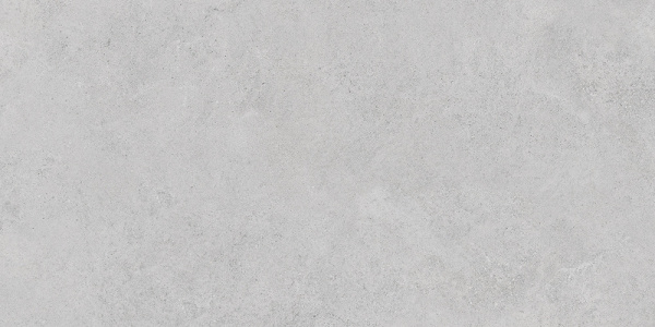   StoneS Боргония Клауд Серый 60x120 (1,44) 