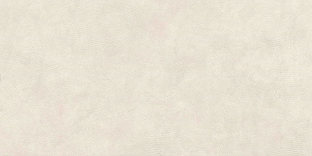   SandBark Слоновая Кость МатR10B 60x120 (1,44) 