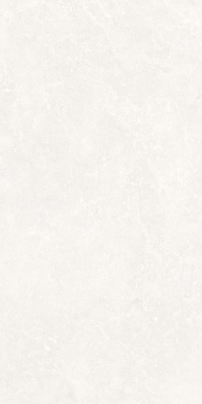  Анголенс белый двойная цифровая печать 60x120 (1,44) 